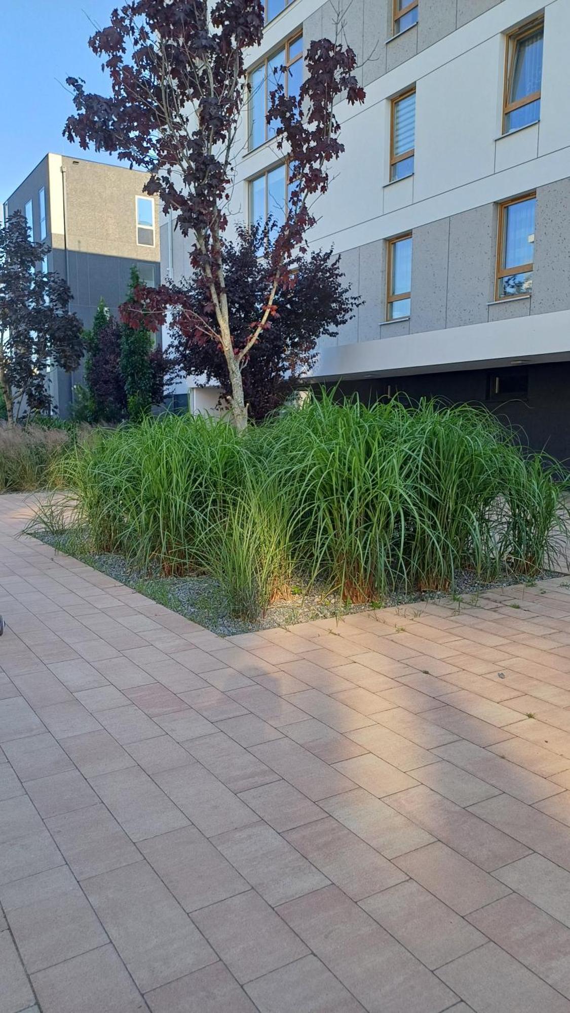 Apartament Davima Aquapark Rumia - Novum Kültér fotó